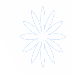 国际足联世界杯_2026世界杯官方中文网站 - WORLD CUP